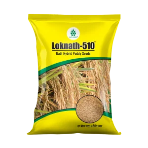 LOKNATH-510 - HYBRID PADDY - Nath Bio Genes