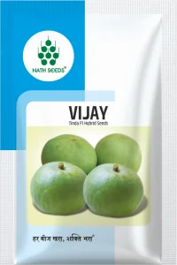 VIJAY - best tinda seeds - Tinda - Nath Bio-Genes (I) Ltd