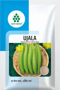 UJALA - sponge gourd seeds online - Sponge Gourd - Nath Bio-Genes (I) Ltd