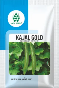 KAJAL GOLD - Sponge Gourd - Nath Bio-Genes (I) Ltd