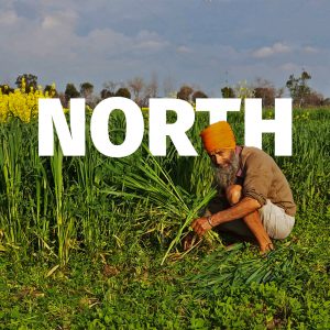 North Zone - Ghaziabad, Faizabad (UP) and Alwar (Rajasthan)