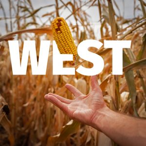 West Zone - Aurangabad (Maharashtra)