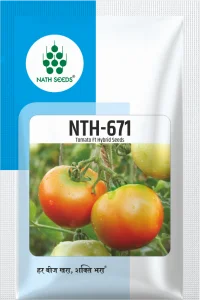 NTH-671 - Tomato - Nath Bio Genes