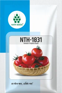 NTH-1831 - Tomato - Nath Bio Genes