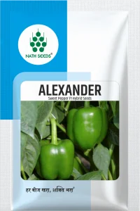 ALEXANDER - Sweet Pepper - Vegetables - Nath Bio-Genes (I) Ltd
