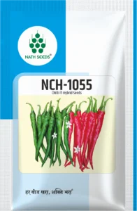 NCH-1055 Chili - Nath Bio Genes
