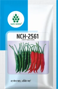 NCH-2561 Chili - Nath Bio Genes