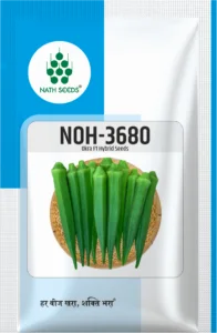 NOH-3680 - Okra - Nath Bio Genes