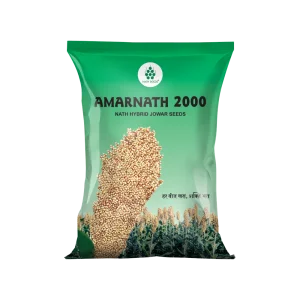 RUTURAJ - JOWAR - Nath Bio-Genes (I) Ltd