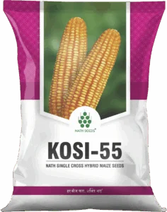 KOSI-55 - CORN - Nath Bio-Genes (I) Ltd