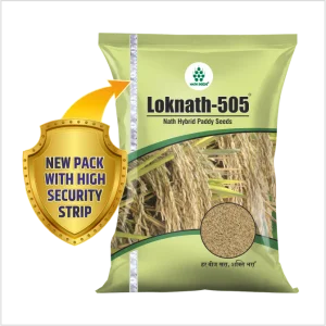 LOKNATH-505 - HYBRID PADDY - Nath Bio Genes