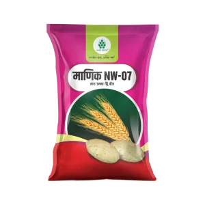 MANIK (NW-07) - Wheat - Nath Bio Genes