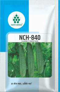 NCH-840 - Cucumber - Nath Bio-Genes (I) Ltd