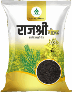 RAJSHREE GOLD - Mustard - Nath Bio Genes