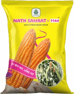 NATH SAMRAT-1144 - CORN - Nath Bio-Genes (I) Ltd