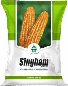 SINGHAM - CORN - Nath Bio-Genes (I) Ltd