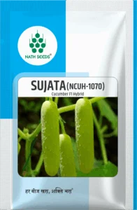 SUJATA (NCUH-1070) - Cucumber - Nath Bio-Genes (I) Ltd