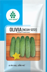 OLIVIA (NCUH-1272)- Cucumber - Nath Bio-Genes (I) Ltd