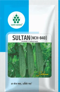 SULTAN (NCH-840) - cucumber seeds online - Cucumber - Nath Bio-Genes (I) Ltd