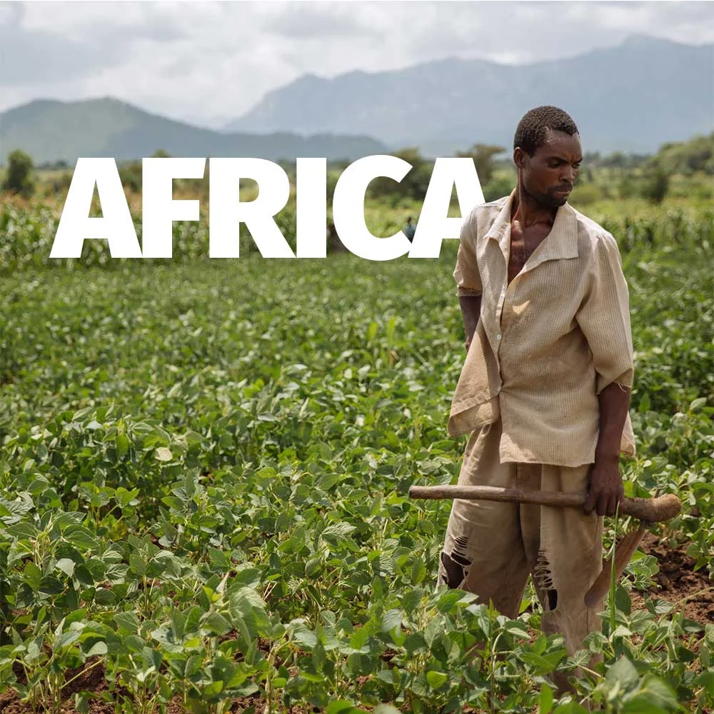 Africa-1
